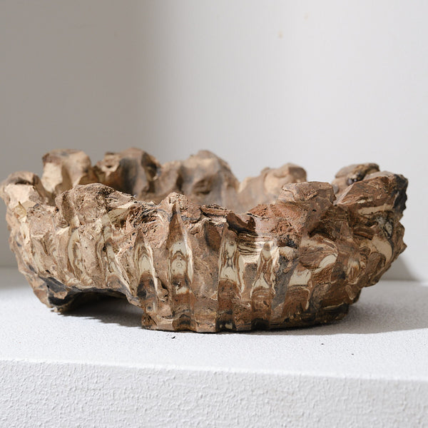 イベント限定品　姫野翔太氏　浅鉢noppo 蛇目 浅鉢 tubomi / 姫野翔太 – KOMO