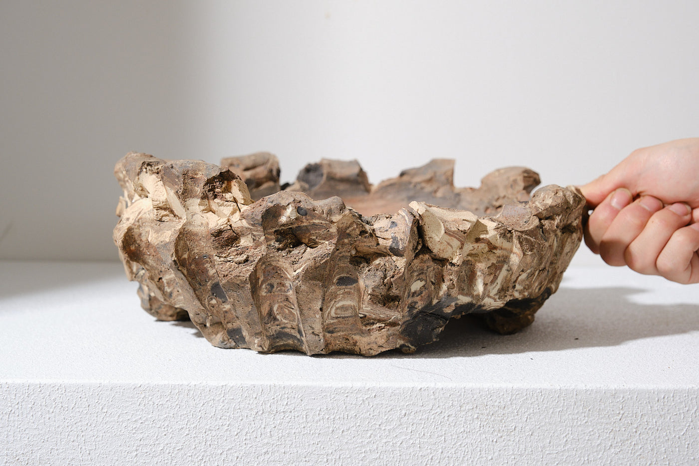 姫野翔太 銀彩egg 3号鉢 セット購入対応可能！！ 姫野翔太 銀彩