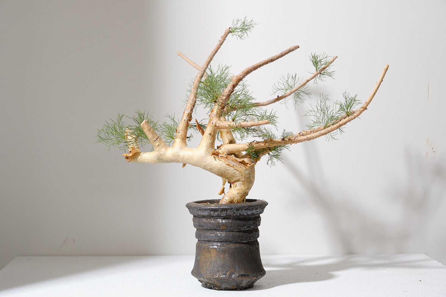 商品 – 2ページ目 – KOMO