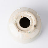 14-ホワイト Kimera / 姫野翔太