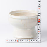 14-ホワイト Kimera / 姫野翔太