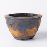 15- カナリア egg/ 姫野翔太