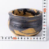 16- カナリア egg/ 姫野翔太