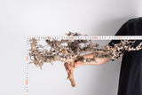 i220 - コミフォラ エイル Commiphora sp. somalia eyl