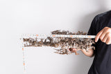 i229- コミフォラ エイル Commiphora sp. somalia eyl