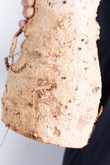 i208 - アダンソニア ディギタータ バオバブ Adansonia digitata