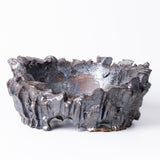 19-ブラックスター tubomi / 姫野翔太