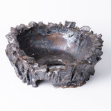 19-ブラックスター tubomi / 姫野翔太