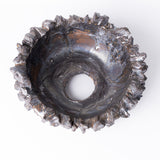 19-ブラックスター tubomi / 姫野翔太