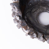 19-ブラックスター tubomi / 姫野翔太