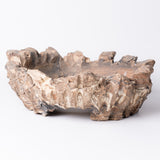 20 - 浅鉢 tubomi / 姫野翔太