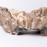 20 - 浅鉢 tubomi / 姫野翔太